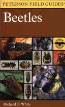 Peterson's A Field Guide to the Beetles