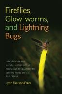 Fireflies, Glowworms and Lightning Bugs