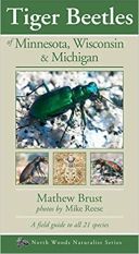 Tiger Beetles of Minnesota, Wisconsin & Michigan