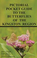 Pictorial Pocket Guide to the Butterflies of the Kingston Region