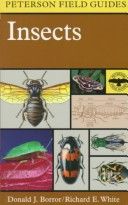 Peterson's A Field Guide to Insects