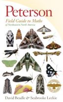 Peterson's Moths of Northeastern North America