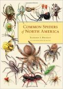 Common Spiders of Nroth America