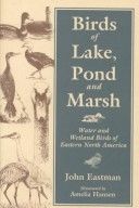Birds of Lake, Pond, and Marsh