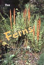 The Ferns of Grey and Bruce Counties