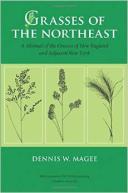 Grasses of the Northeast