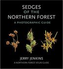 Sedges of the Northern Forest