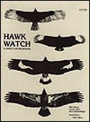 Hawk Watch: A Guide for Beginners