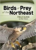 Birds of Prey of the Northeast