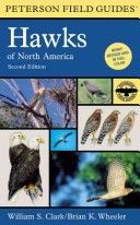 Peterson Field Guides: Hawks of North America