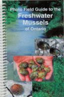 Photo Field Guide to Mussels of Ontario