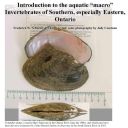 Introduction to the aquatic "macro" invertebrates of Southern especially Eastern Ontario