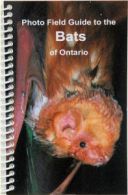 Photo Field Guide to Bats of Ontario