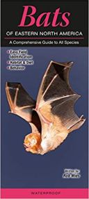Bats of Eastern North America