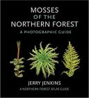 Mosses of the Northern Forest