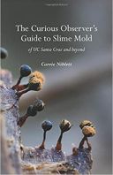 The Curious Observer's Guide to Slime Mold