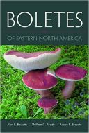 Boletes of Eastern North America